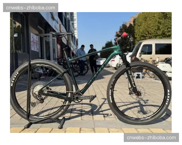 “砾石路热”降温?产业分析显示高端硬尾山地车市场重现增长 “砾石路热”降温?产业分析显示高端硬尾山地车市场重现增长